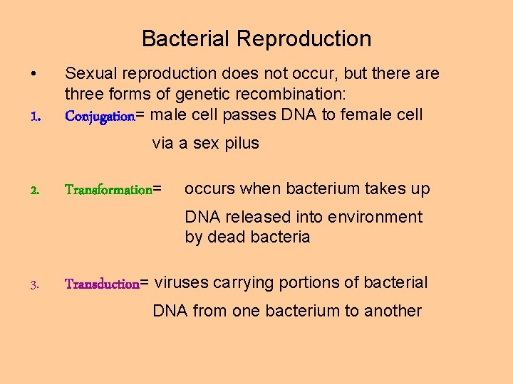 Bacterial Reproduction • 1. Sexual reproduction does not occur, but there are three forms