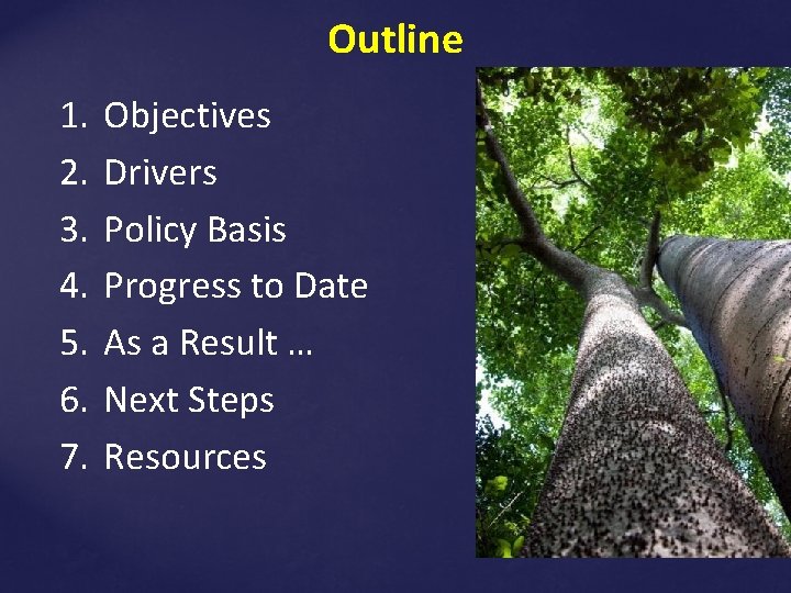 Outline 1. 2. 3. 4. 5. 6. 7. Objectives Drivers Policy Basis Progress to