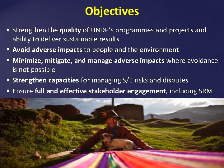 Objectives § Strengthen the quality of UNDP’s programmes and projects and ability to deliver