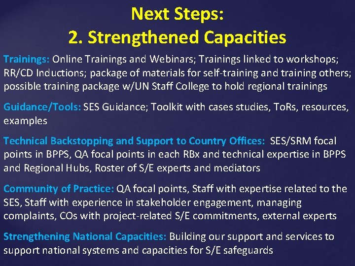 Next Steps: 2. Strengthened Capacities Trainings: Online Trainings and Webinars; Trainings linked to workshops;
