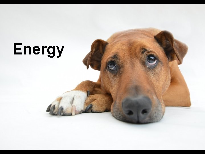 Energy 