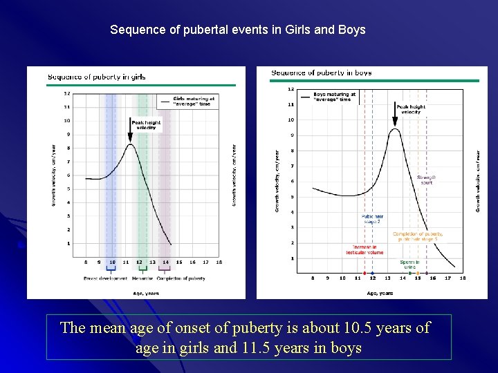 Sequence of pubertal events in Girls and Boys The mean age of onset of