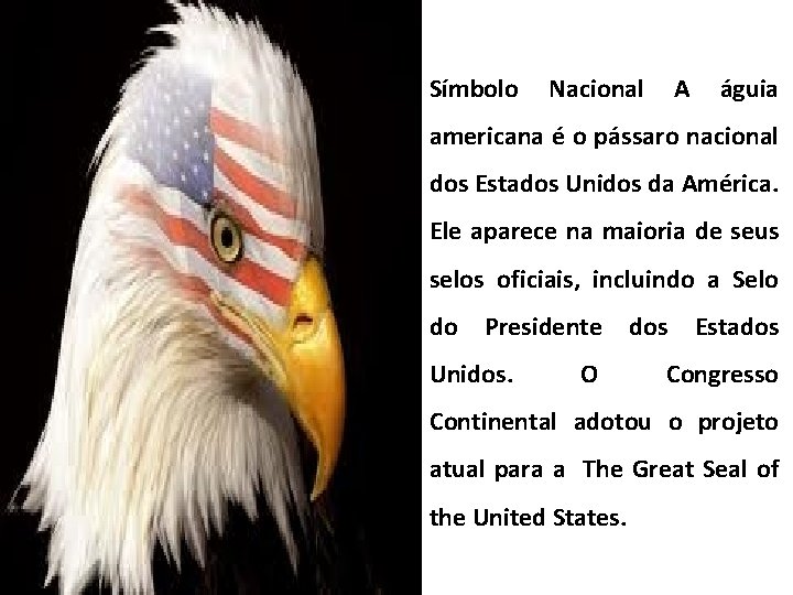 Símbolo Nacional A águia americana é o pássaro nacional dos Estados Unidos da América.