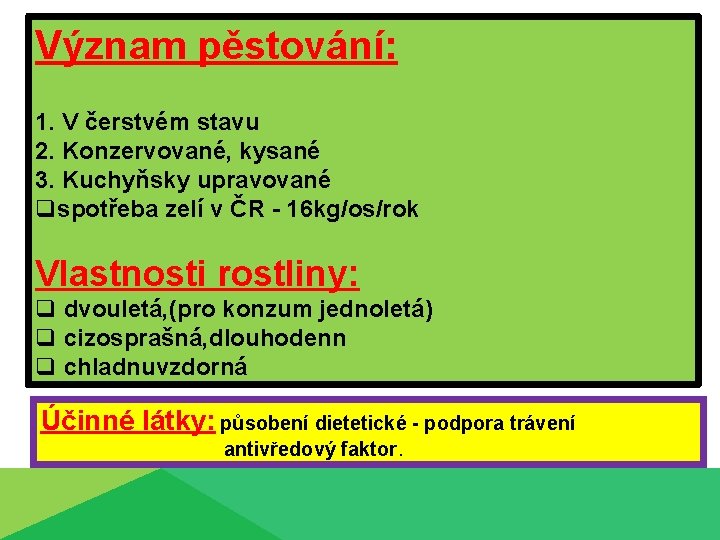 Význam pěstování: 1. V čerstvém stavu 2. Konzervované, kysané 3. Kuchyňsky upravované qspotřeba zelí