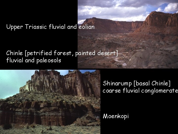 Upper Triassic fluvial and eolian Chinle [petrified forest, painted desert] fluvial and paleosols Shinarump