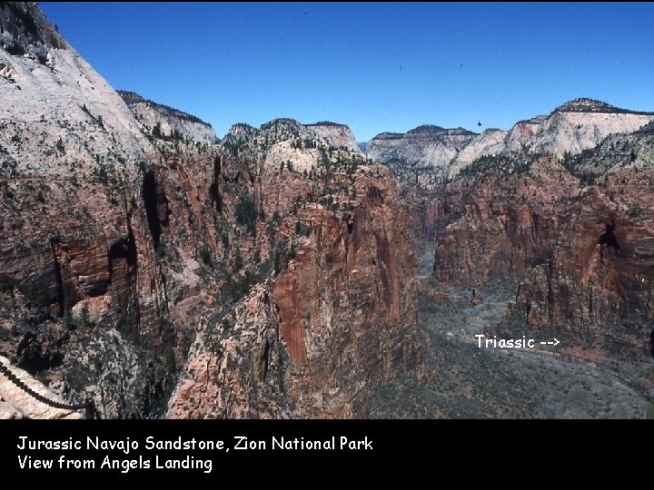 Triassic --> Jurassic Navajo Sandstone, Zion National Park View from Angels Landing 