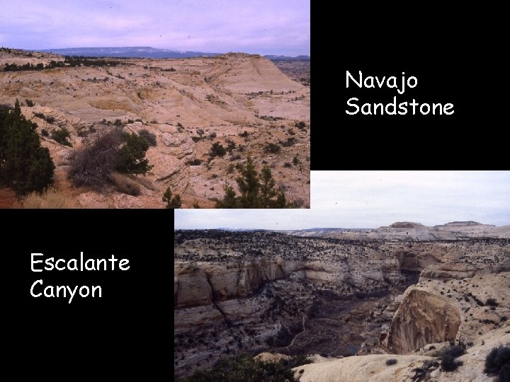 Navajo Sandstone Escalante Canyon 