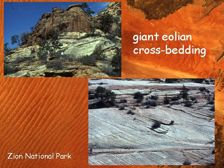 giant eolian cross-bedding Zion National Park 