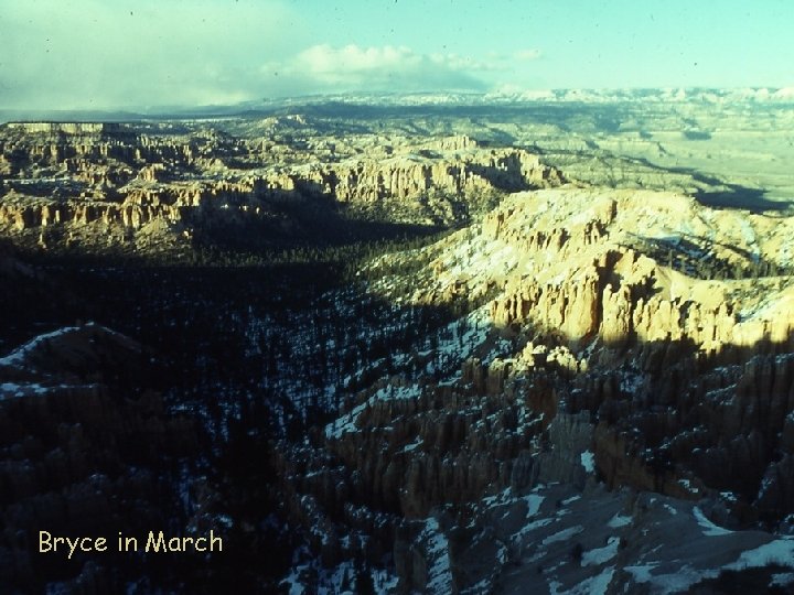 Bryce in March 