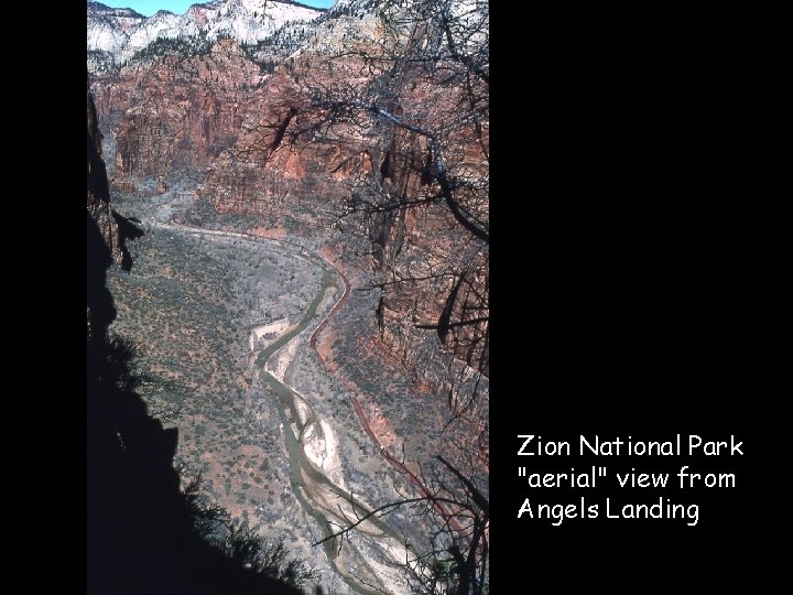 Zion National Park "aerial" view from Angels Landing 