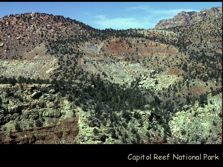 Capitol Reef National Park 