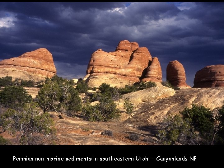 Permian non-marine sediments in southeastern Utah -- Canyonlands NP 