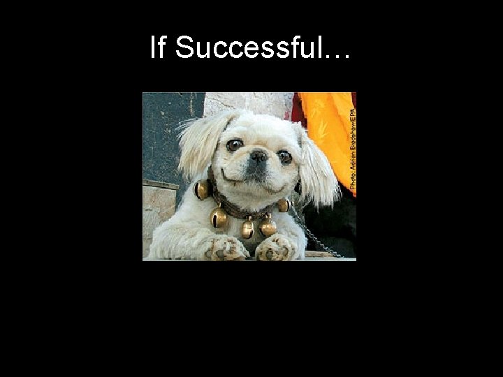 If Successful… 