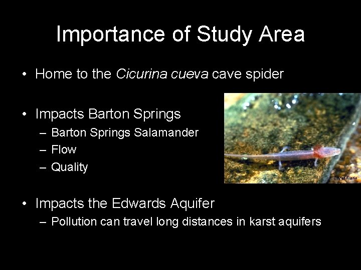 Importance of Study Area • Home to the Cicurina cueva cave spider • Impacts