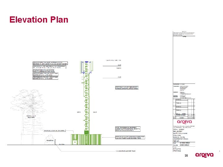 Elevation Plan 20 