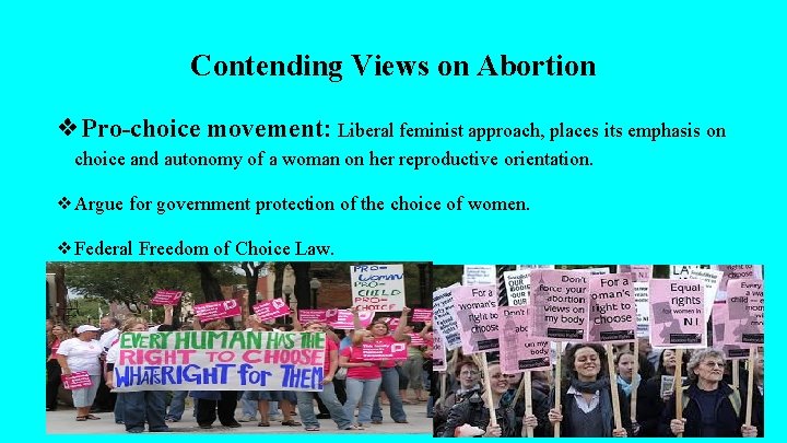 Contending Views on Abortion ❖Pro-choice movement: Liberal feminist approach, places its emphasis on choice