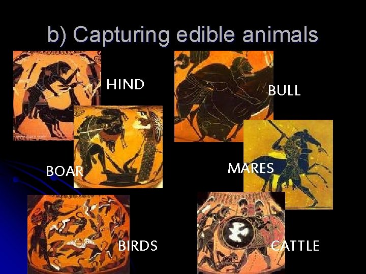 b) Capturing edible animals HIND BULL MARES BOAR BIRDS CATTLE 