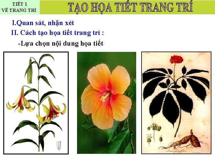 TIẾT 1 VẼ TRANG TRÍ I. Quan sát, nhận xét II. Cách tạo họa