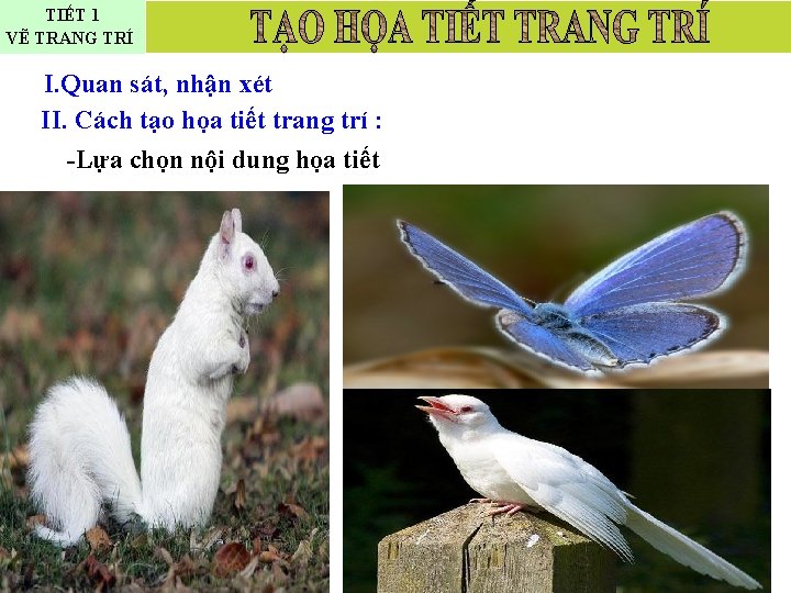 TIẾT 1 VẼ TRANG TRÍ I. Quan sát, nhận xét II. Cách tạo họa