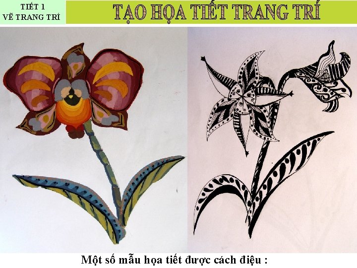 TIẾT 1 VẼ TRANG TRÍ Một số mẫu họa tiết được cách điệu :