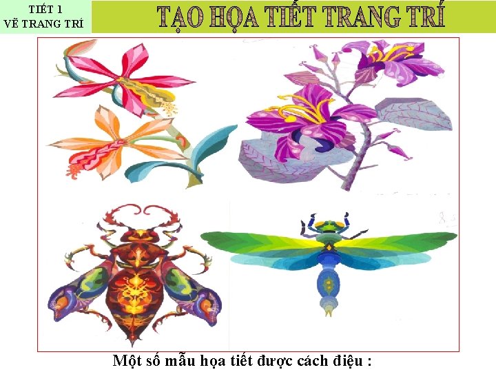 TIẾT 1 VẼ TRANG TRÍ Một số mẫu họa tiết được cách điệu :