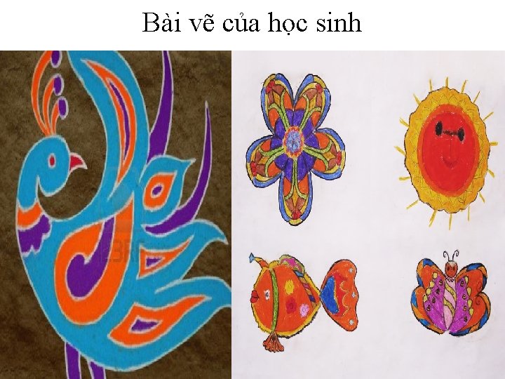 Bài vẽ của học sinh 