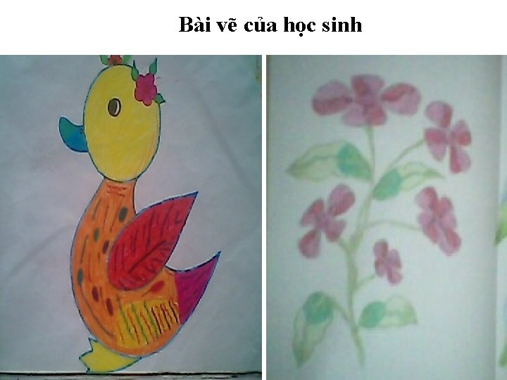 Bài vẽ của học sinh 