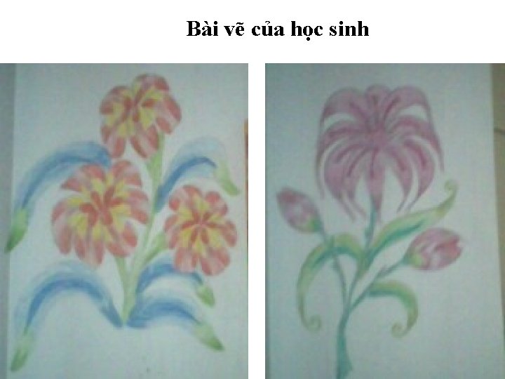 Bài vẽ của học sinh 