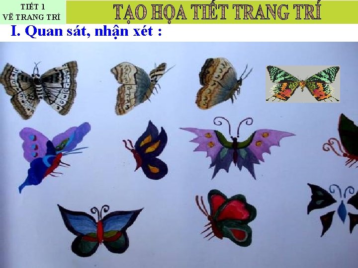 TIẾT 1 VẼ TRANG TRÍ I. Quan sát, nhận xét : 