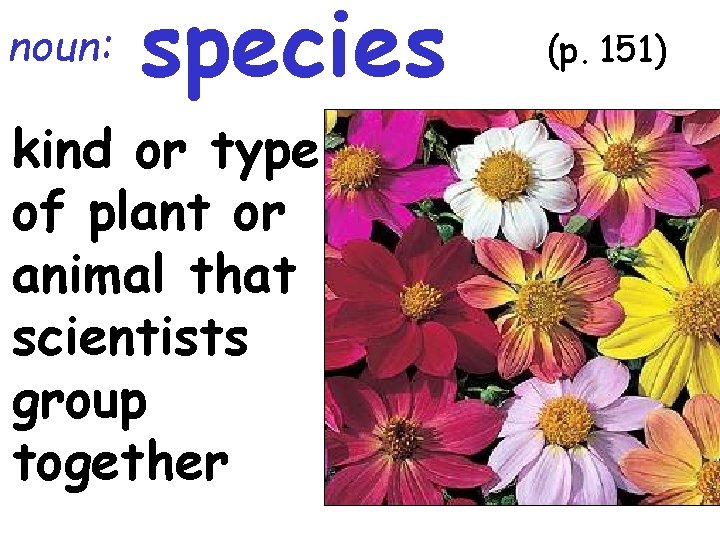 noun: species kind or type of plant or animal that scientists group together (p.