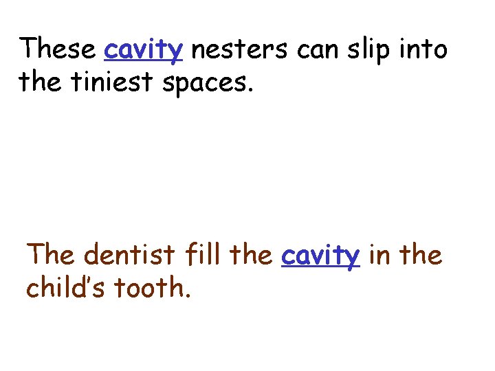 cavity These cavity nesters can slip into the tiniest spaces. The dentist fill the