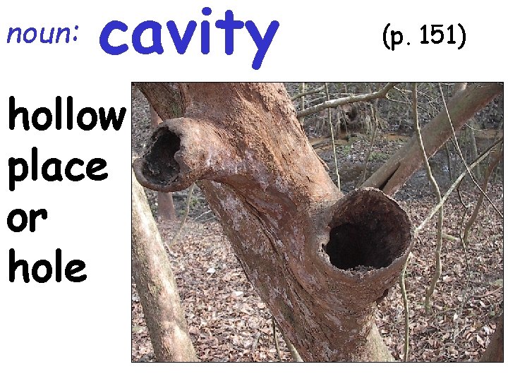 noun: cavity hollow place or hole (p. 151) 