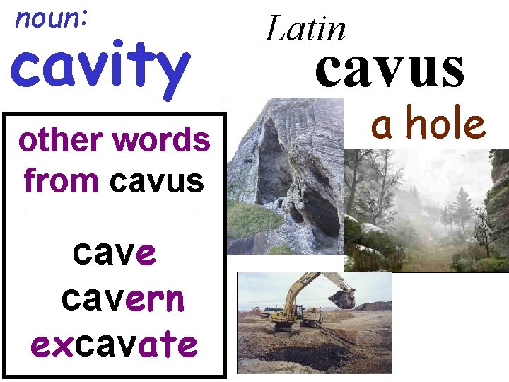 noun: cavity other words from cavus cavern excavate Latin cavus a hole 