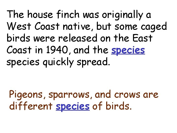 species The house finch was originally a West Coast native, but some caged birds
