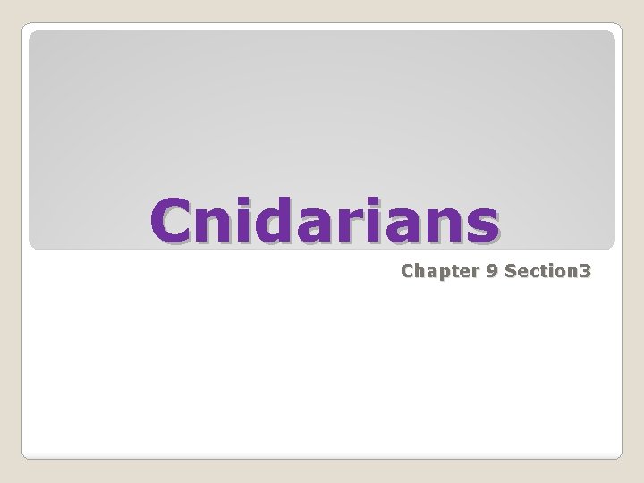 Cnidarians Chapter 9 Section 3 