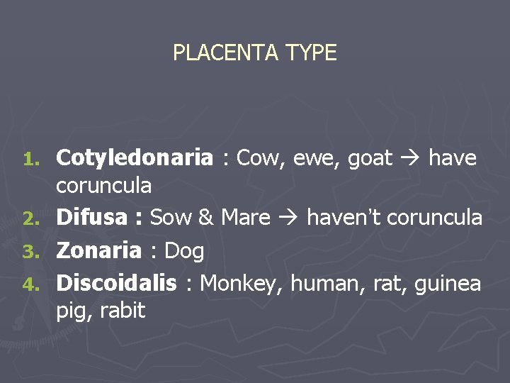 PLACENTA TYPE 1. 2. 3. 4. Cotyledonaria : Cow, ewe, goat have coruncula Difusa
