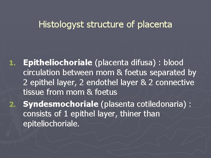 Histologyst structure of placenta Epitheliochoriale (placenta difusa) : blood circulation between mom & foetus