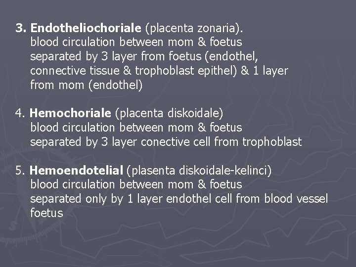 3. Endotheliochoriale (placenta zonaria). blood circulation between mom & foetus separated by 3 layer