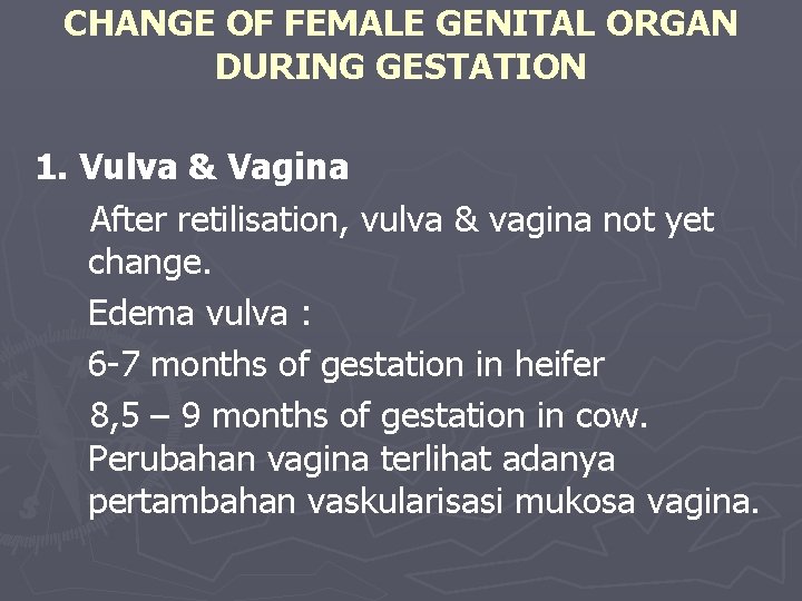 CHANGE OF FEMALE GENITAL ORGAN DURING GESTATION 1. Vulva & Vagina After retilisation, vulva