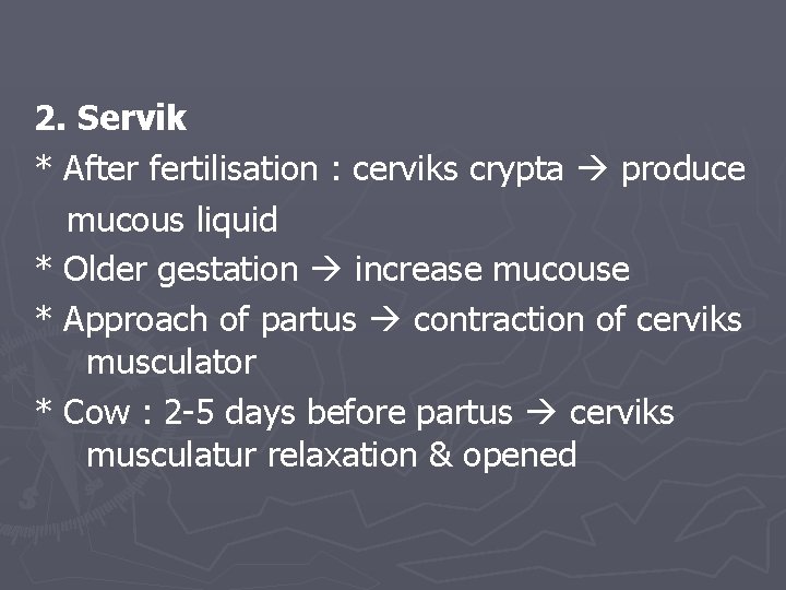 2. Servik * After fertilisation : cerviks crypta produce mucous liquid * Older gestation