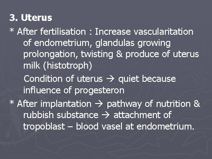 3. Uterus * After fertilisation : Increase vascularitation of endometrium, glandulas growing prolongation, twisting