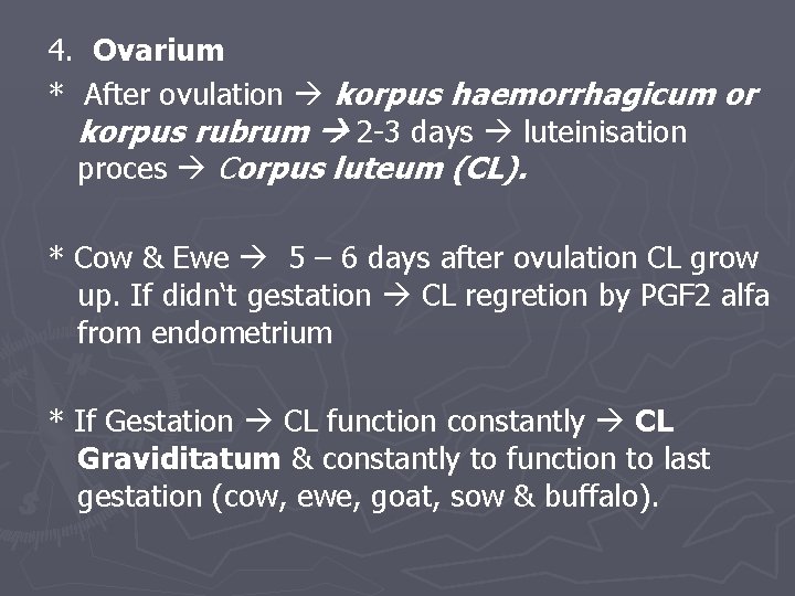 4. Ovarium * After ovulation korpus haemorrhagicum or korpus rubrum 2 -3 days luteinisation