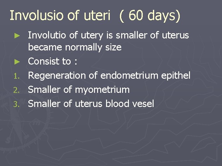 Involusio of uteri ( 60 days) ► ► 1. 2. 3. Involutio of utery