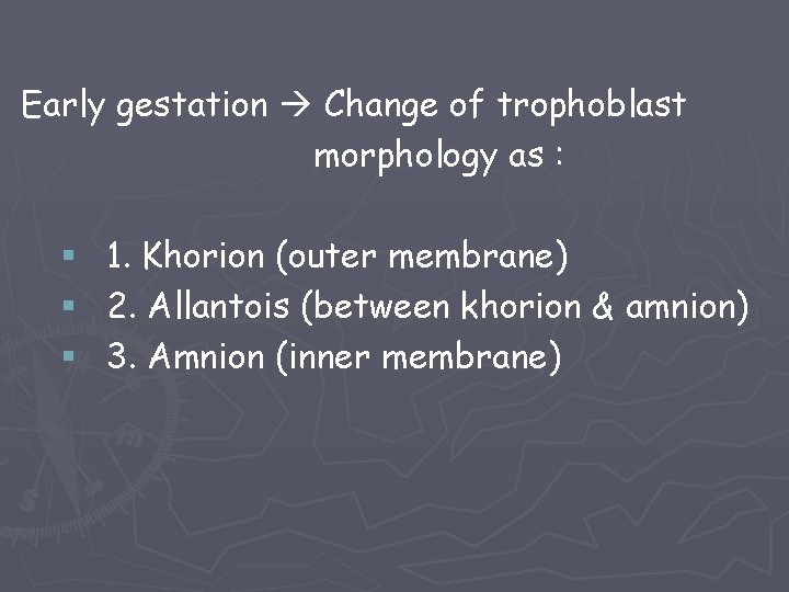 Early gestation Change of trophoblast morphology as : § 1. Khorion (outer membrane) §
