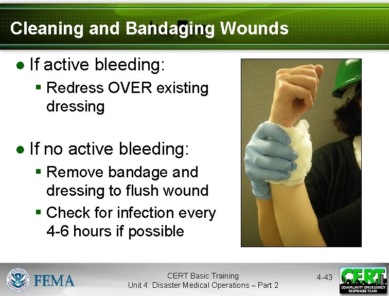 Cleaning and Bandaging Wounds ● If active bleeding: § Redress OVER existing dressing ●