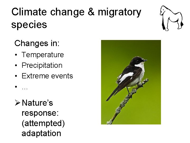 Climate change & migratory species Changes in: • • Temperature Precipitation Extreme events …