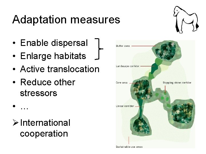 Adaptation measures • • Enable dispersal Enlarge habitats Active translocation Reduce other stressors •