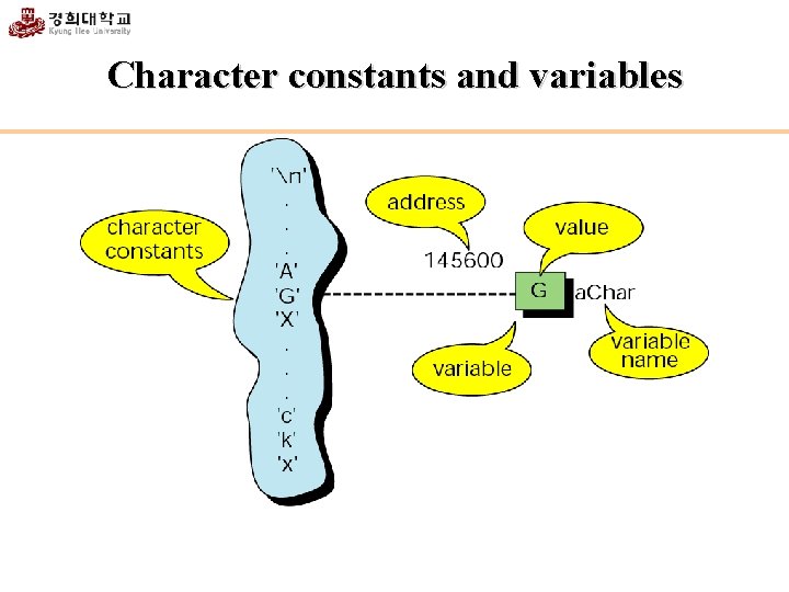 Character constants and variables 