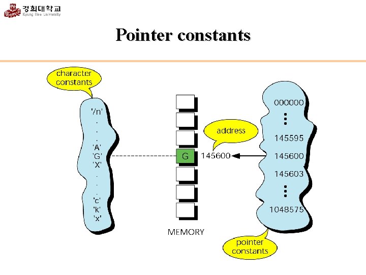 Pointer constants 