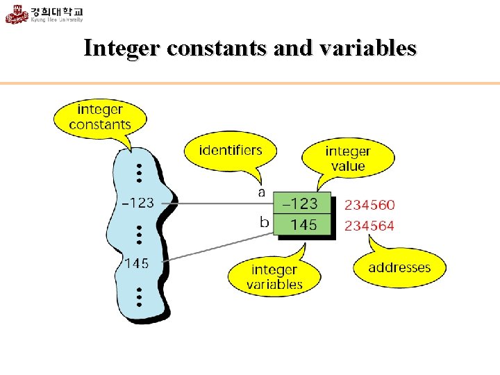 Integer constants and variables 